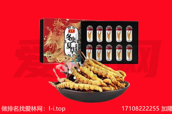 鄄城县回收虫草.jpg